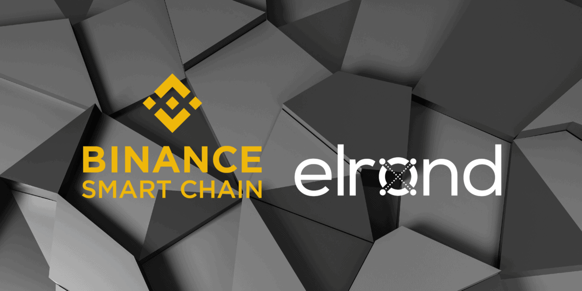 Elrond And Binance Smart Chain-12