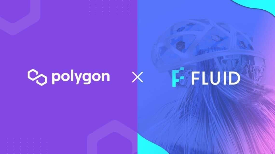 Fluid X Polygon