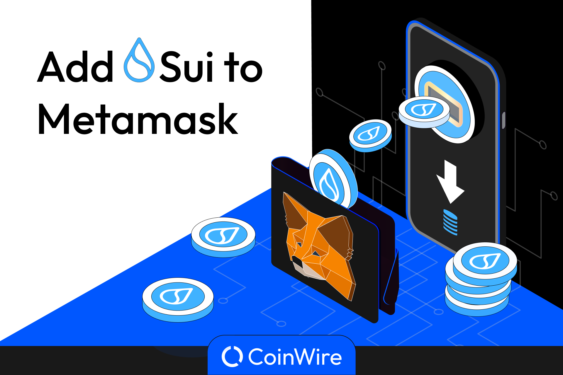Add Sui To Metamask -Featured Image
