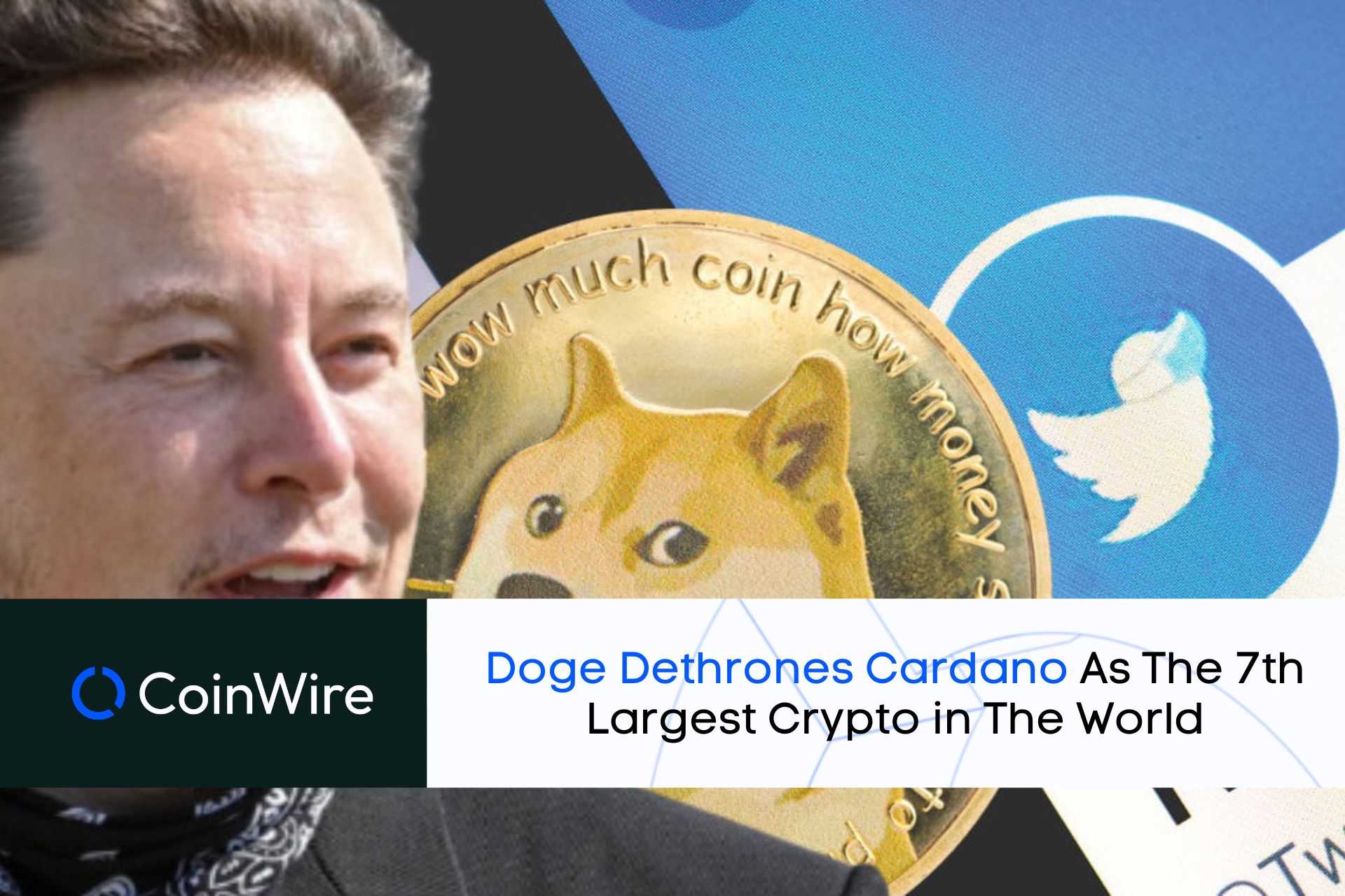 Doge Dethrones Cardano As The 7Th Largest Crypto In The World