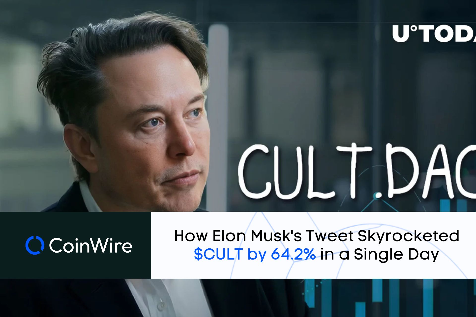 How Elon Musk'S Tweet Skyrocketed $Cult By 64.2% In A Single Day