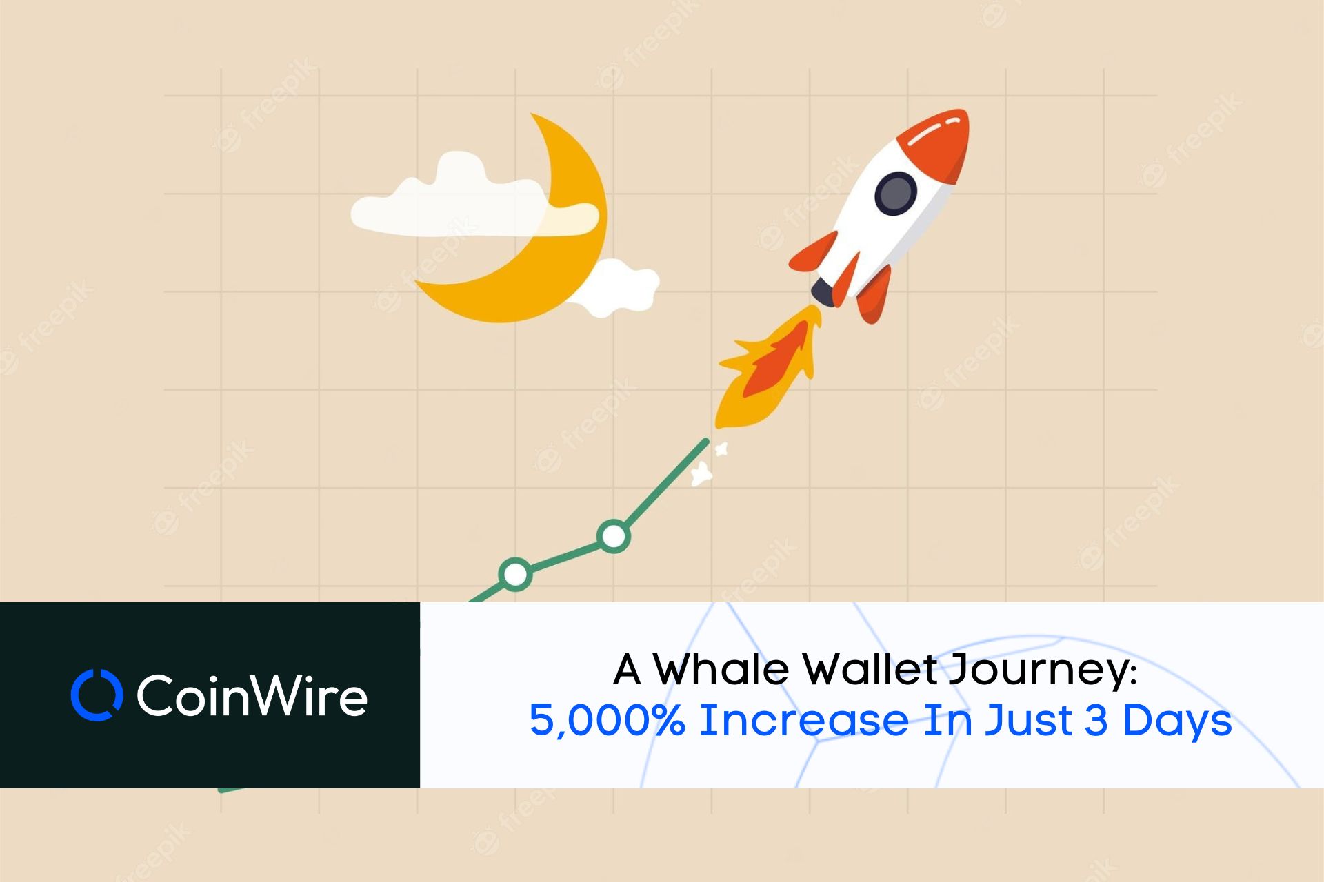 Unveiling A Whales' Crypto Journey: How They Achieved A 5,000% Increase In Just 3 Days