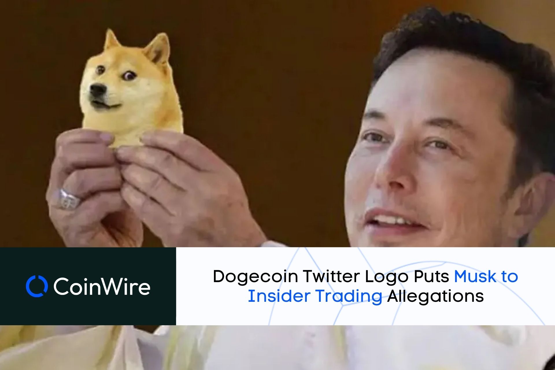 Dogecoin Twitter Logo Puts Musk To Insider Trading Allegations