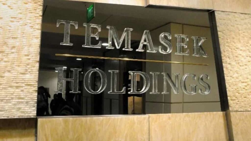 Why Is Temasek, Singapore'S Investment Giant, Avoiding The Crypto Frenzy?