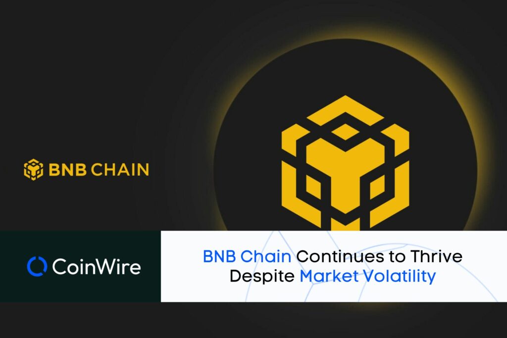 Bnb Chain Continues To Thrive Despite Market Volatility