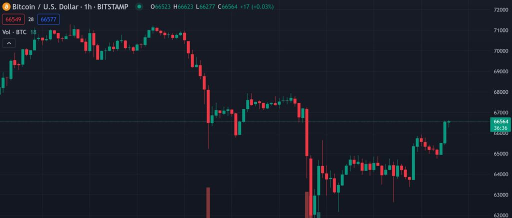 Bitcoin Reaction After The News (Source: Tradingview)